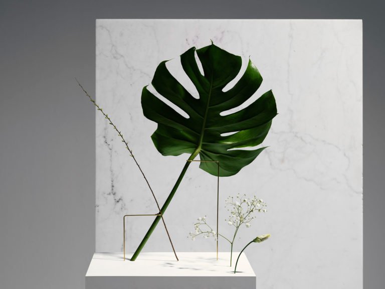 Design végétal, Bloc Studios, Postures Vases