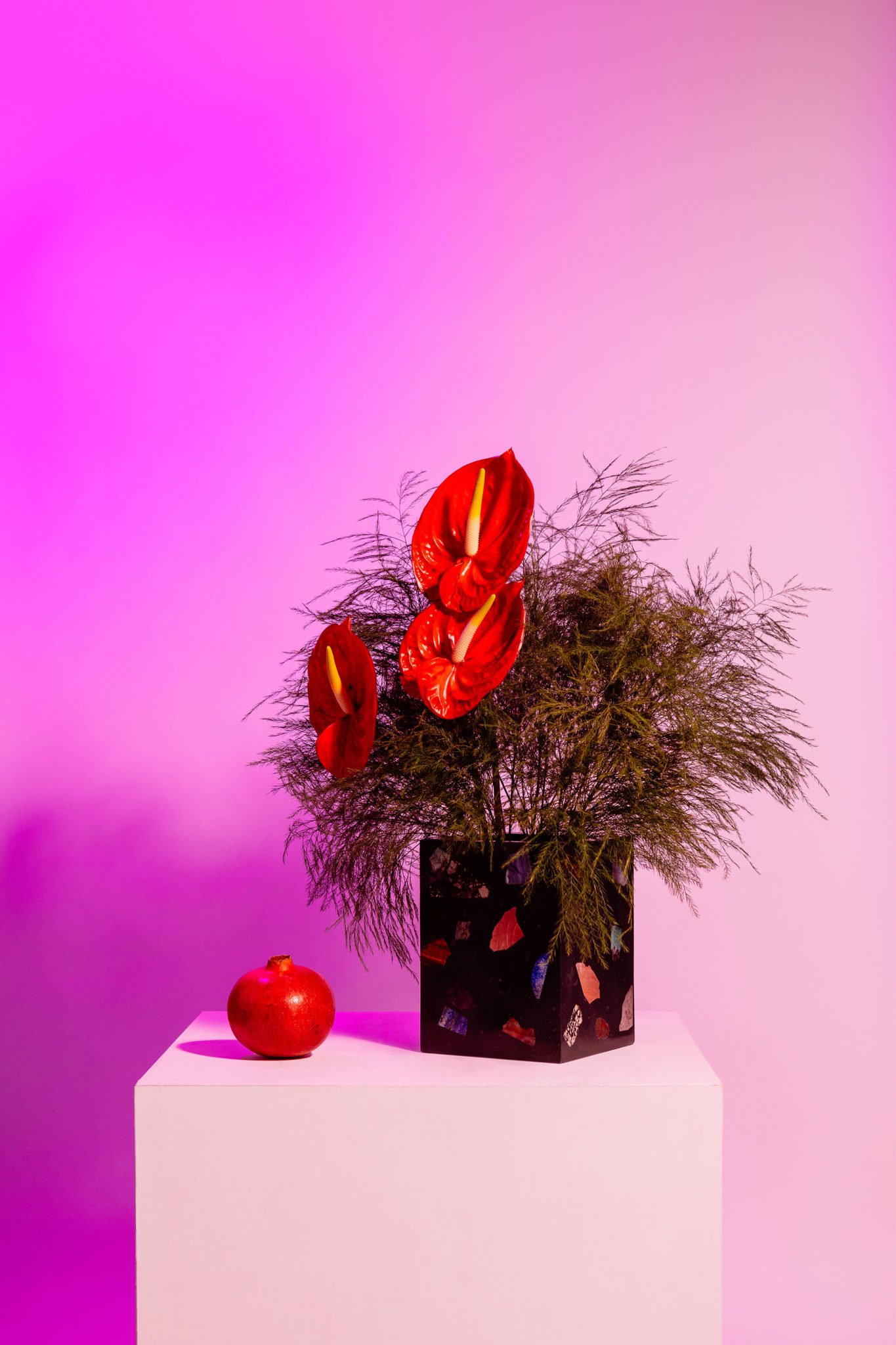A black terrazzo design vase with red flowers and in a purple light.