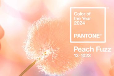 Peach Fuzz, la couleur Pantone pour 2024