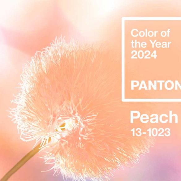 Peach Fuzz, la couleur Pantone pour 2024