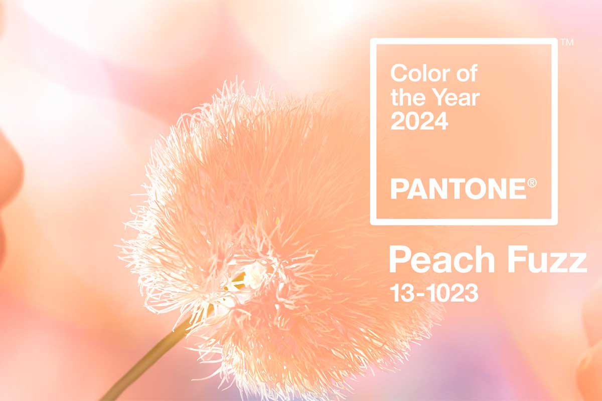 Peach Fuzz la couleur Pantone pour 2024 Husk Design